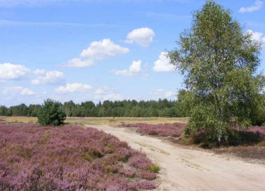 Chalet Schoonhoeve Schoonloo Kültér fotó